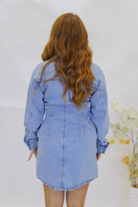 Levi Button Front Denim Dress